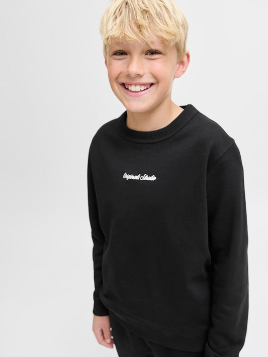 Svart rundhalsad crew neck sweat tröja från Jack & Jones till kille. Ungdomskläder, stilren.
JORNORREBRO EMB SWEAT CREW NOOS JNR
12284064