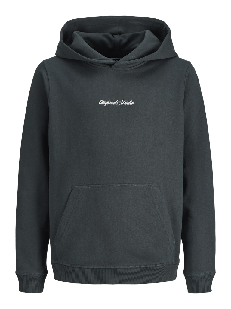 Grön hoodie, luvtröja till kille ungdom. Skön sweatshirt Norrebro från Jack & Jones.
JORNORREBRO EMB SWEAT HOOD NOOS JNR
12284062