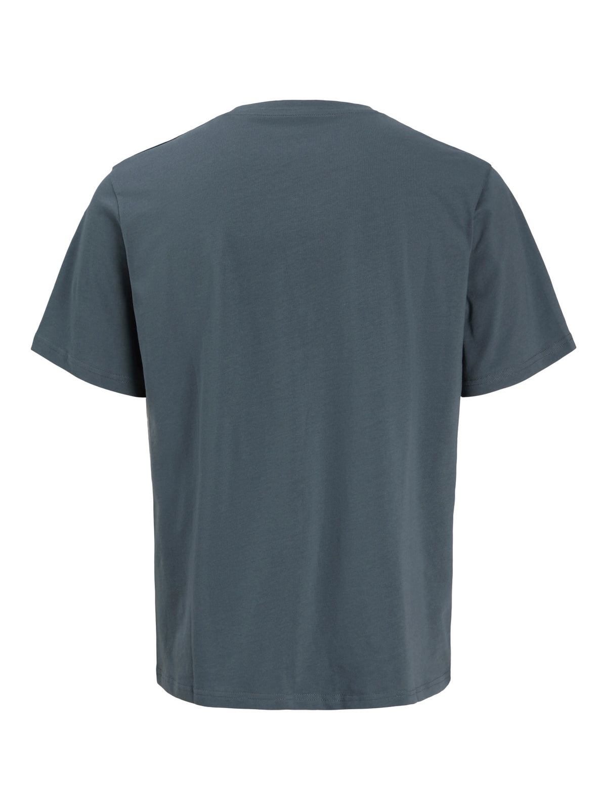 Jack & Jones Junior Jade grå T-shirt med Legacy-tryck barkifrån till ungdom kille