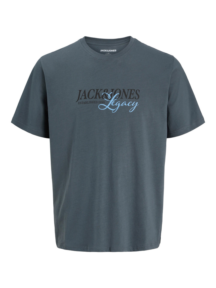 Jack & Jones Junior Jade grå T-shirt med Legacy-tryck framifrån till ungdom kille