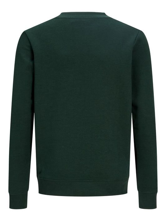Scarab Xmas Fun Jultröja – Roliga Julmotiv för barn pojke från Jack & Jones Junior, bakifrån