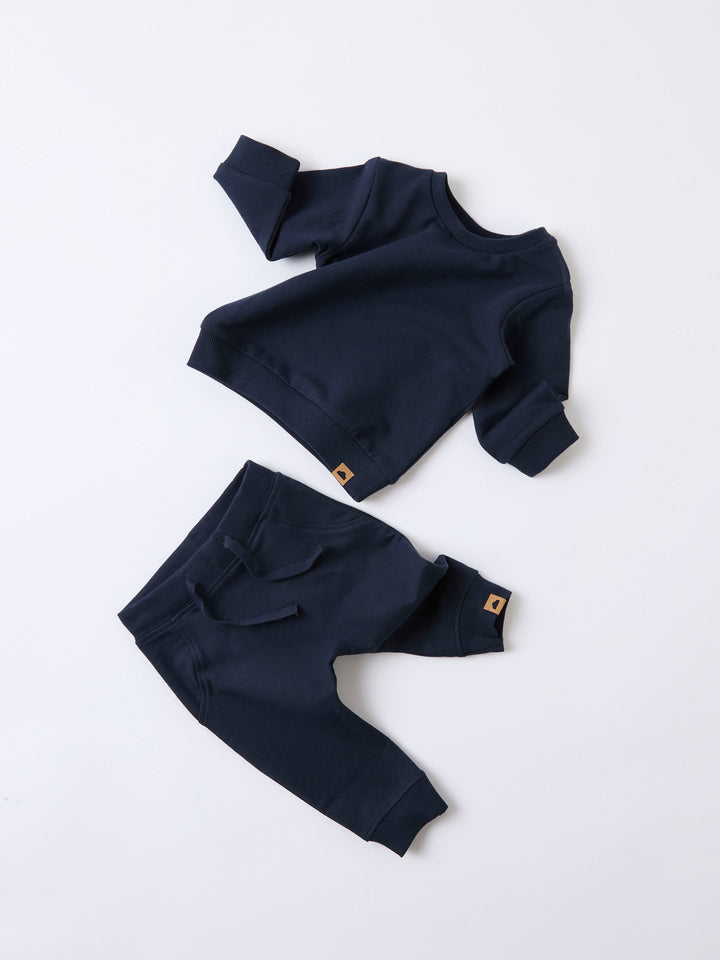 Blå enfärgad långärmad sweat unisex tröja till  baby pojke och bebis flicka. Ekologiska barnkläder från Name it.
NBNTAKKI LS SWEAT NOOS
13239136