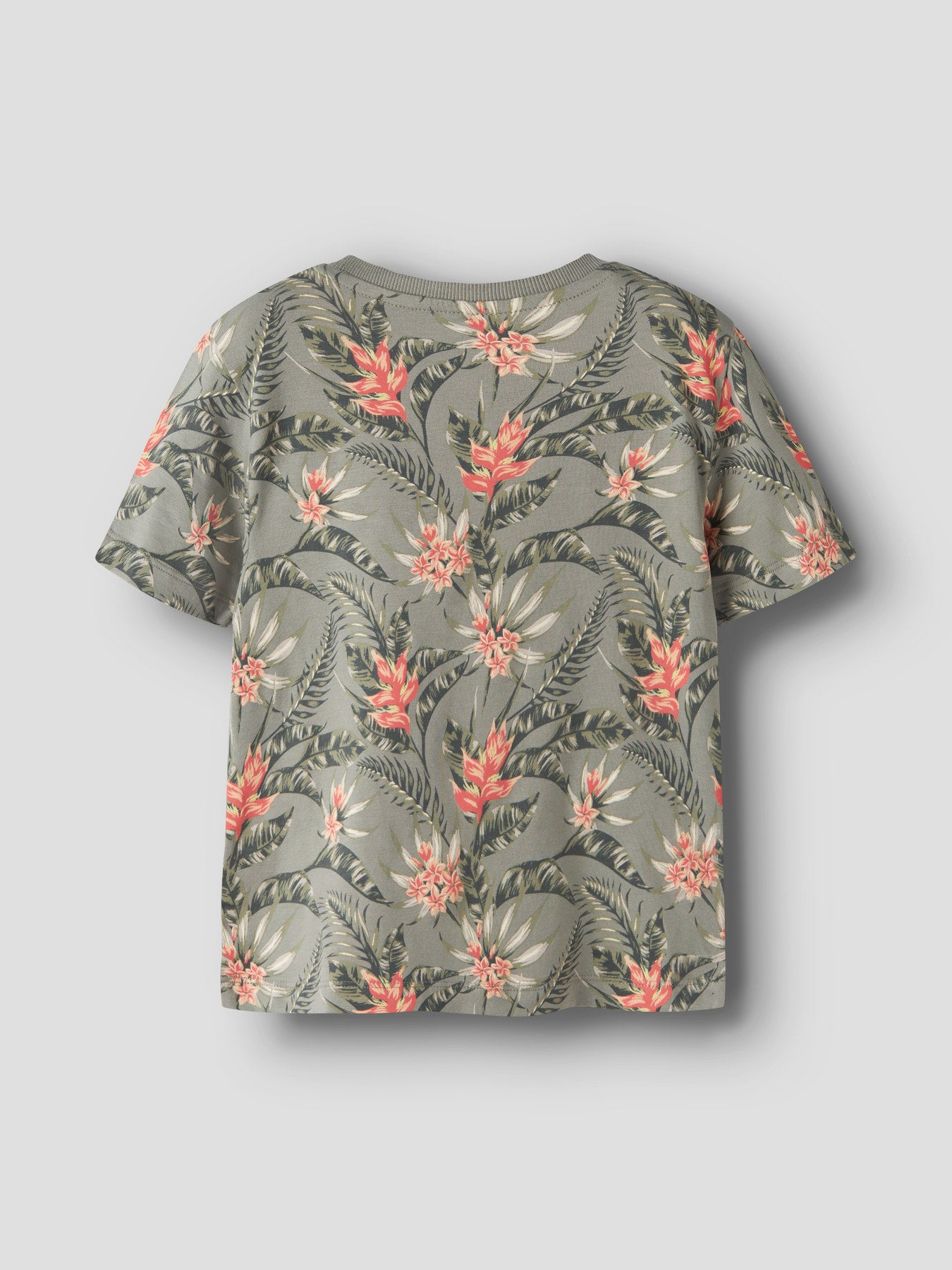 Mönstrad blommig grön kortärmad t-shirt till pojke.
NMMFLUZZ SS NREG TOP
13254316