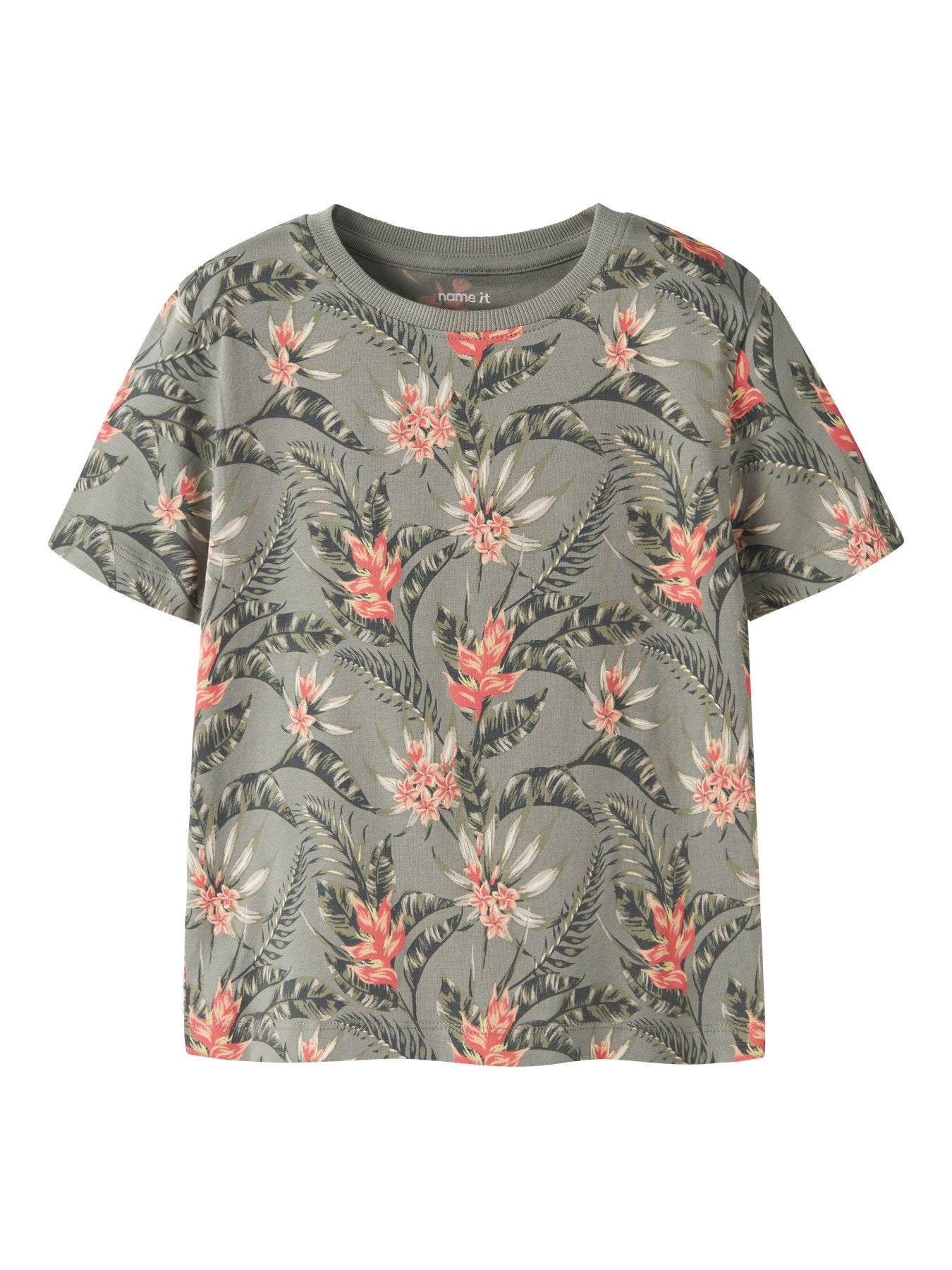 Mönstrad blommig grön kortärmad t-shirt till pojke.
NMMFLUZZ SS NREG TOP
13254316