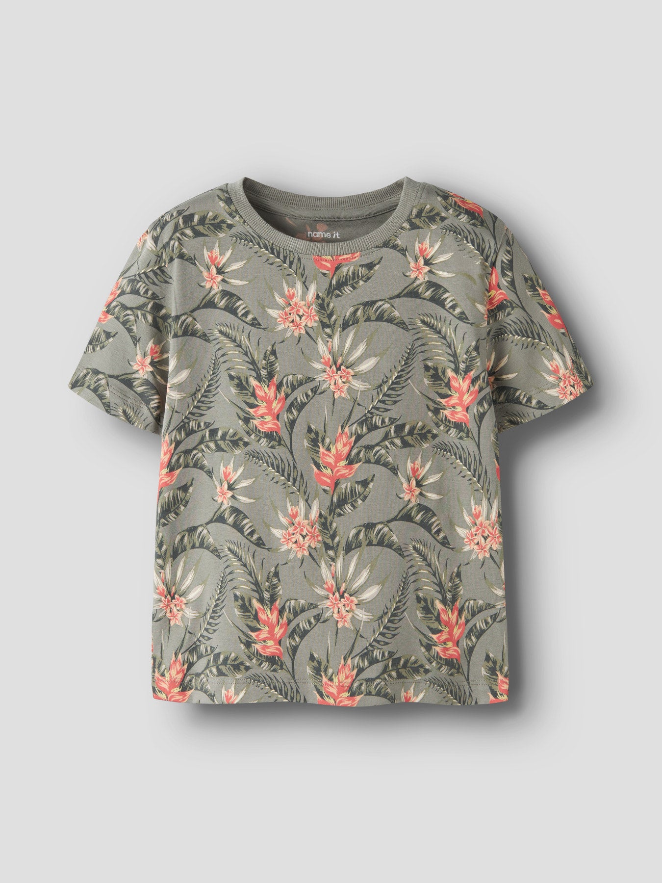 Mönstrad blommig grön kortärmad t-shirt till pojke.
NMMFLUZZ SS NREG TOP
13254316