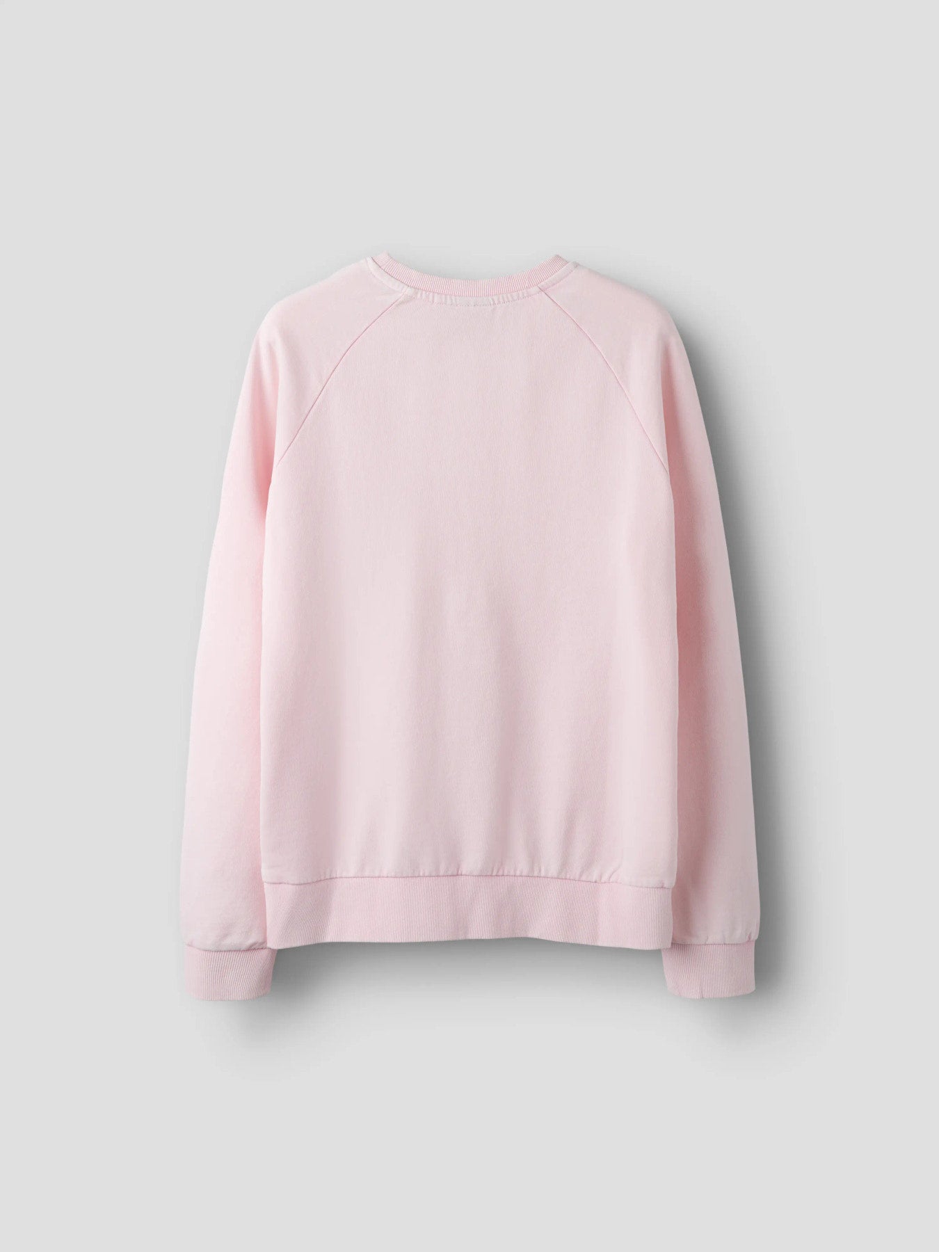 Snygg enfärgad rosa crew neck sweat tröja i unisex modell till ungdom kille och tjej. Långärmad sweatshirt enfärgad tröja från LMTD.
NLNHACID LS O-NECK L SWEAT
13254782