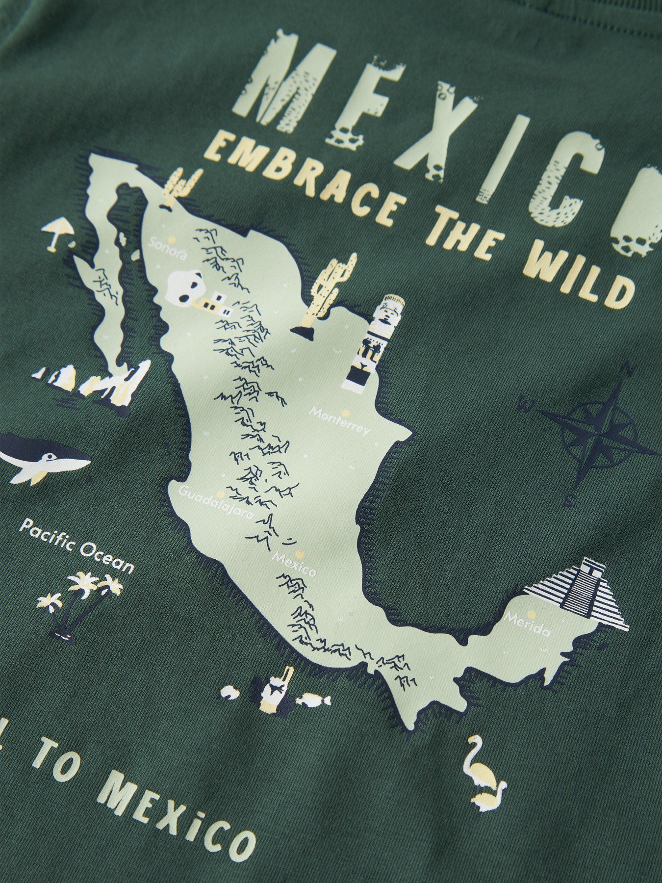 Mörk grön kortärmad t-shirt till pojke. T-shirt med Mexico karta, ekologiska barnkläder från Name it.
NMMHAYDE SS NREG TOP BOX
13255657
