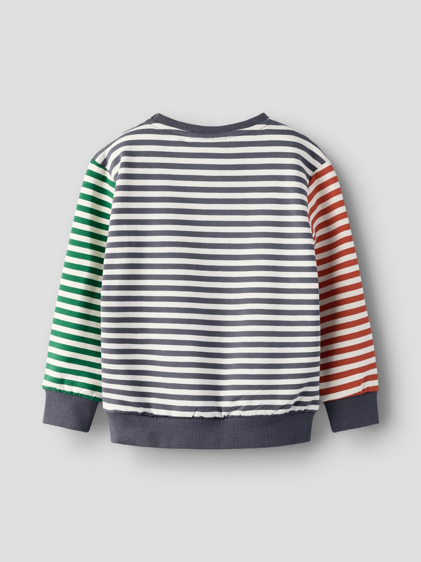 Name It randig röd, grön och blå sweatshirt för pojke i mjuk bomullsblandning med rund hals och långa ärmar. Ekologiska barnkläder från Nameit
NMMKASTER LS NREG SWEAT UNB
13257555