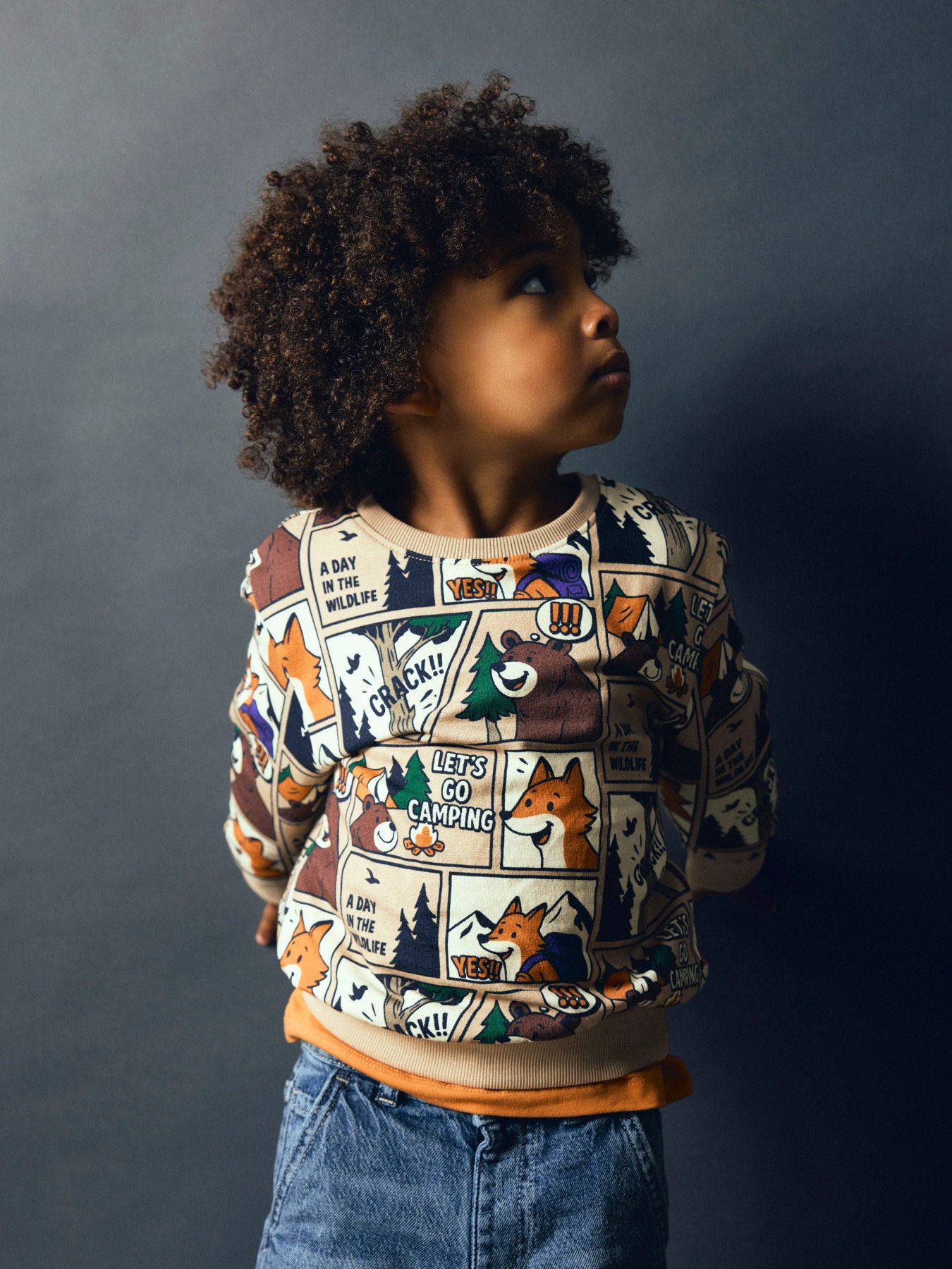Name It Oswaldy sweatshirt Sesame med camping- och djurmotiv för pojke mini – 13260177