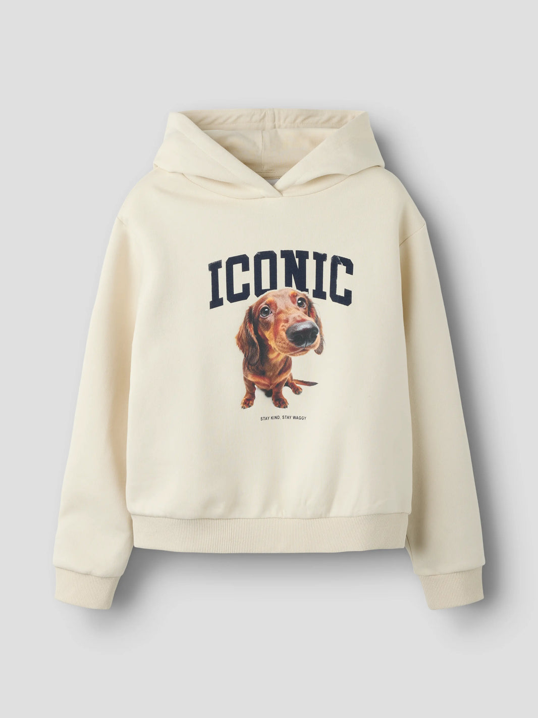 Birch Sera hoodie med hundmotiv från Name it, framifrån – 13262768