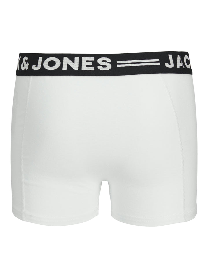 3-pack kalsonger från Jack & Jones i svart, vitt och grått. Boxerhorts till ungdom kille från Jack&Jones.
SENSE TRUNKS 3-PACK NOOS JNR
12149293