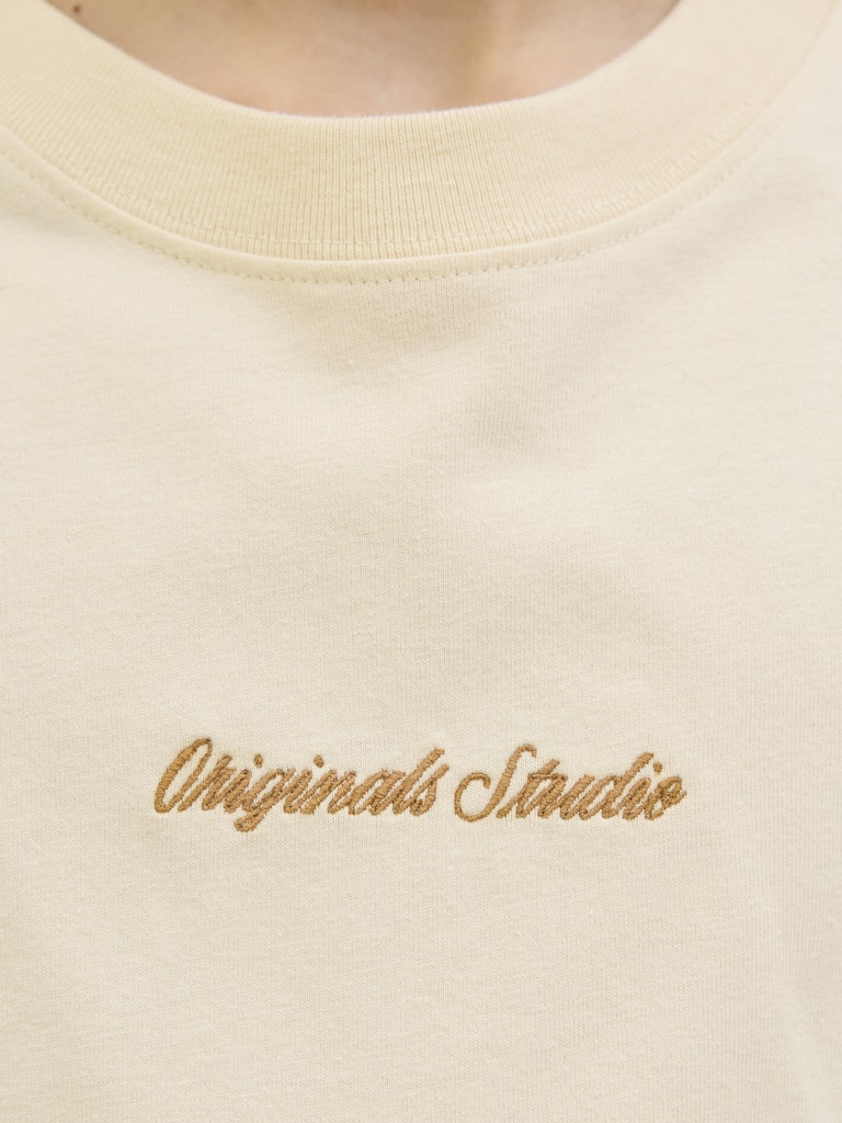 Cream rundhals t-shirt till kille. Ungdomskläder från Jack & Jones.
JORNORREBRO EMB TEE SS CN NOOS JNR
12284052