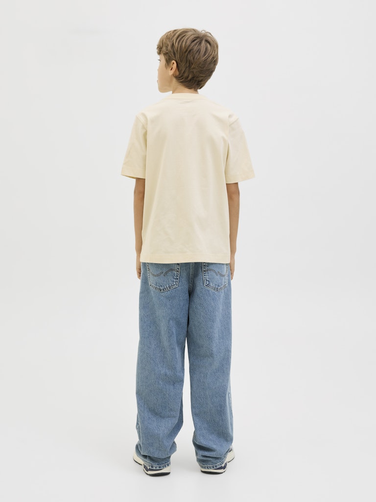 Cream rundhals t-shirt till kille. Ungdomskläder från Jack & Jones.
JORNORREBRO EMB TEE SS CN NOOS JNR
12284052