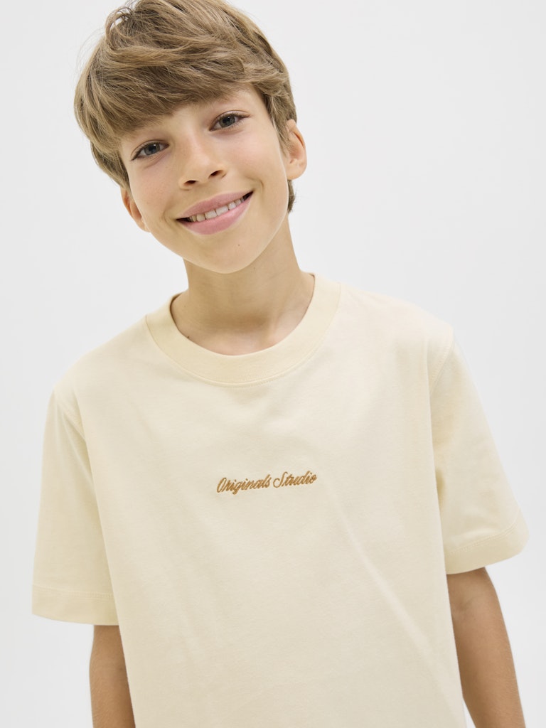 Cream rundhals t-shirt till kille. Ungdomskläder från Jack & Jones.
JORNORREBRO EMB TEE SS CN NOOS JNR
12284052