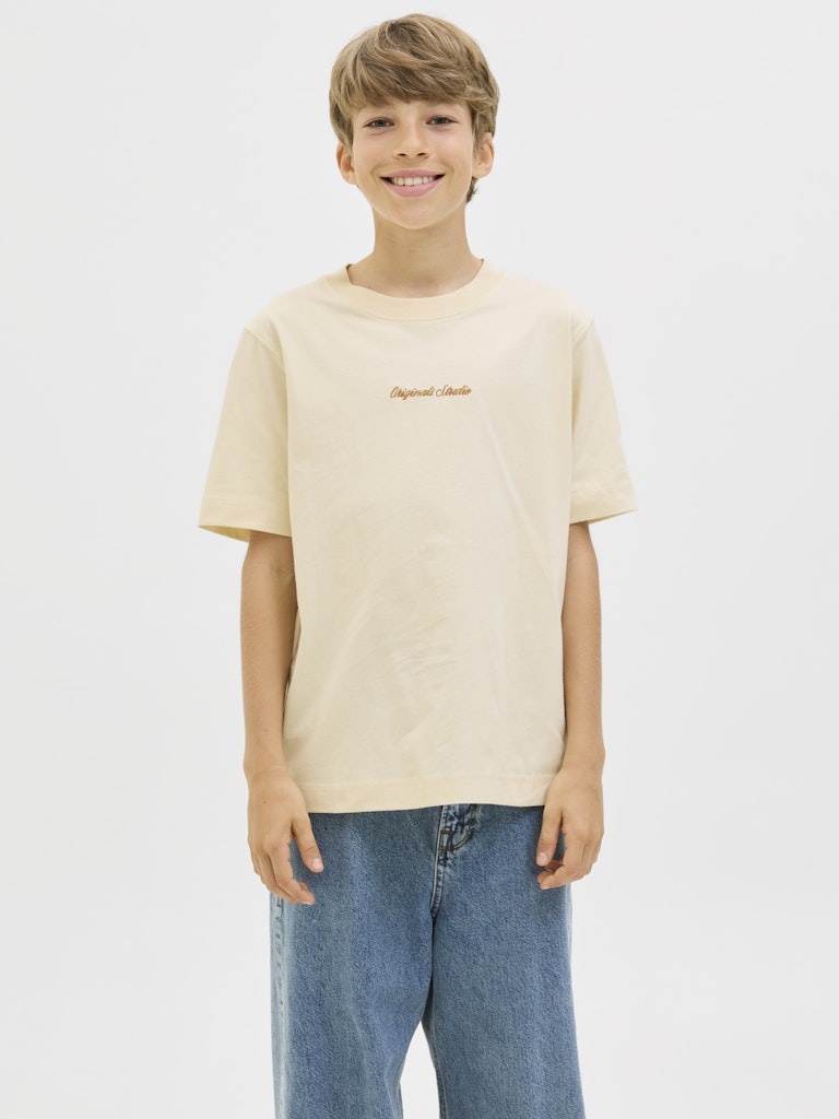 Cream rundhals t-shirt till kille. Ungdomskläder från Jack & Jones.
JORNORREBRO EMB TEE SS CN NOOS JNR
12284052