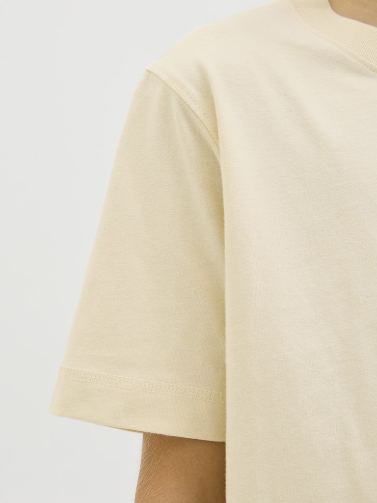 Cream rundhals t-shirt till kille. Ungdomskläder från Jack & Jones.
JORNORREBRO EMB TEE SS CN NOOS JNR
12284052