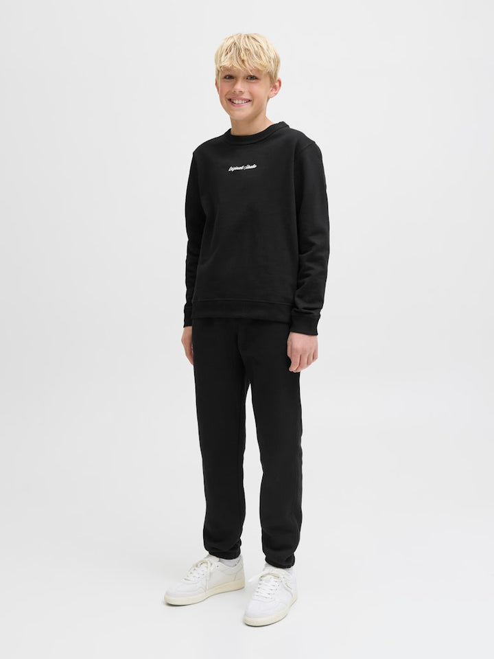 Svart rundhalsad crew neck sweat tröja från Jack & Jones till kille. Ungdomskläder, stilren.
JORNORREBRO EMB SWEAT CREW NOOS JNR
12284064