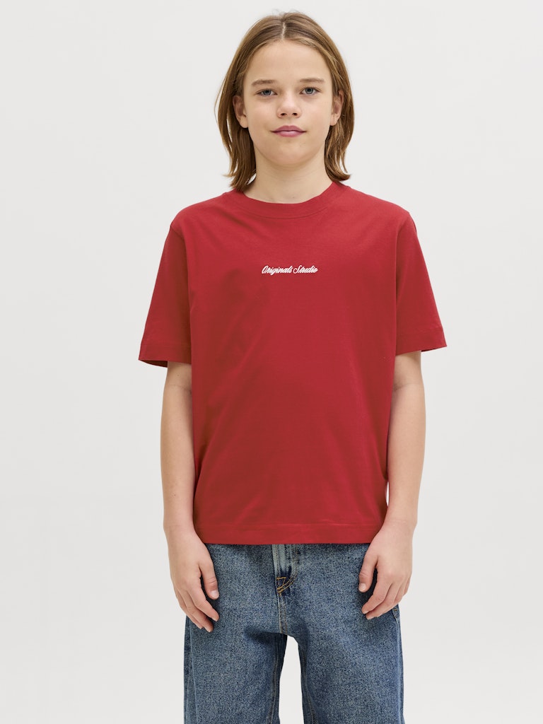 Röd rundhals t-shirt till kille. Ungdomskläder från Jack & Jones.
JORNORREBRO EMB TEE SS CN NOOS JNR
12284052