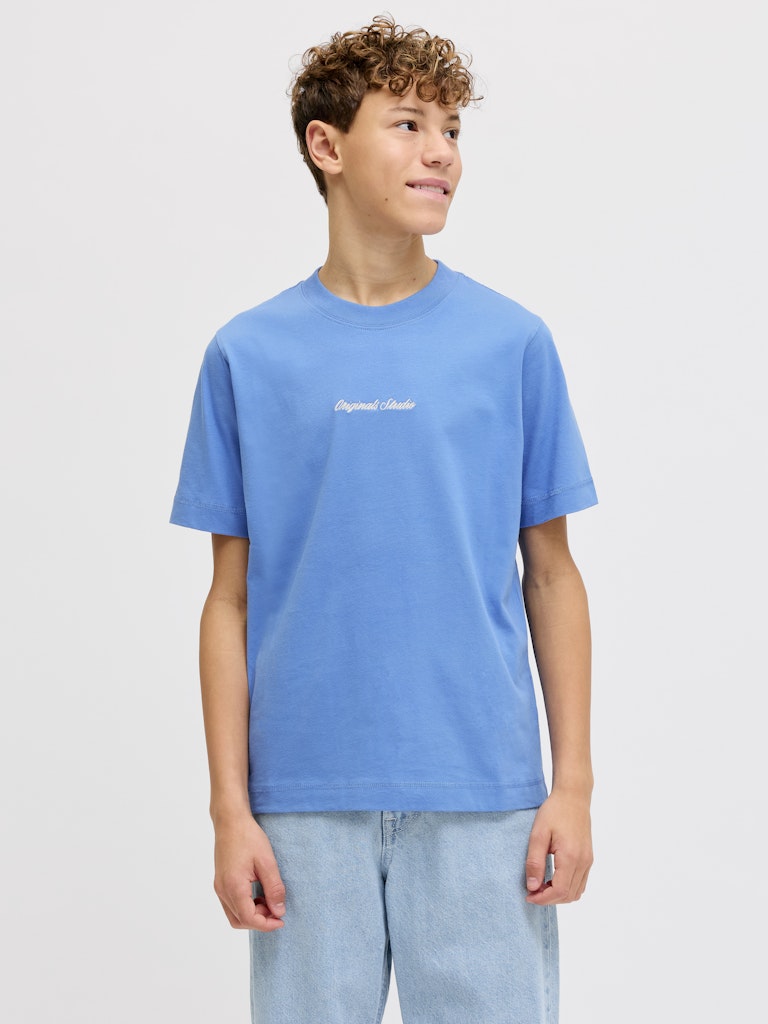 Blå rundhals t-shirt till kille. Ungdomskläder från Jack & Jones.
JORNORREBRO EMB TEE SS CN NOOS JNR
12284052