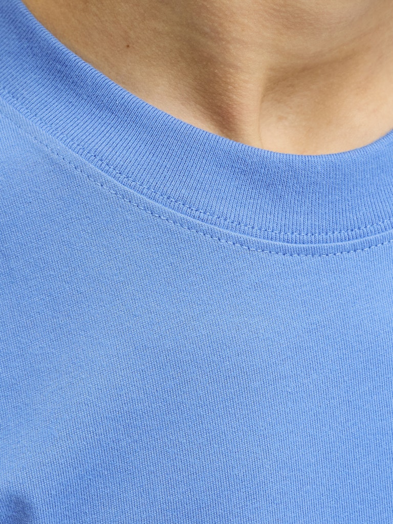 Blå rundhals t-shirt till kille. Ungdomskläder från Jack & Jones.
JORNORREBRO EMB TEE SS CN NOOS JNR
12284052