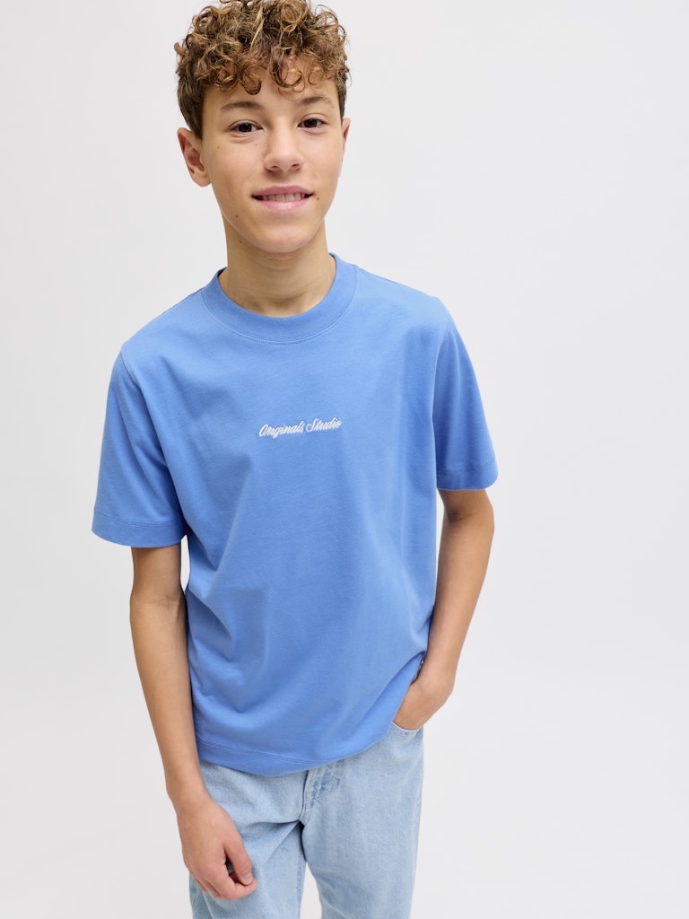 Blå rundhals t-shirt till kille. Ungdomskläder från Jack & Jones.
JORNORREBRO EMB TEE SS CN NOOS JNR
12284052