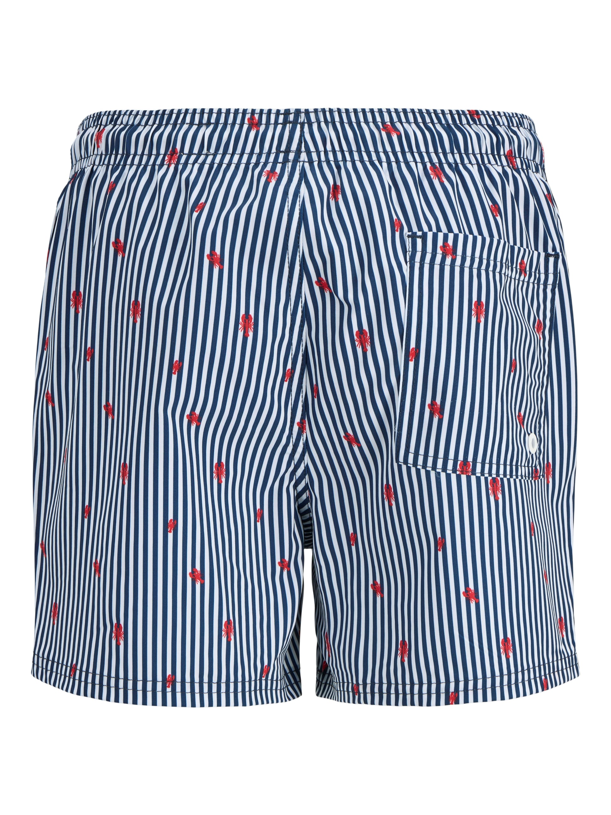 Randiga badshorts till kille från Jack & Jones. Blå vita shorts badkläder till ungdom.
JPSTMAUI JJSWIM MINI STRIPE AKM JNR
12273846