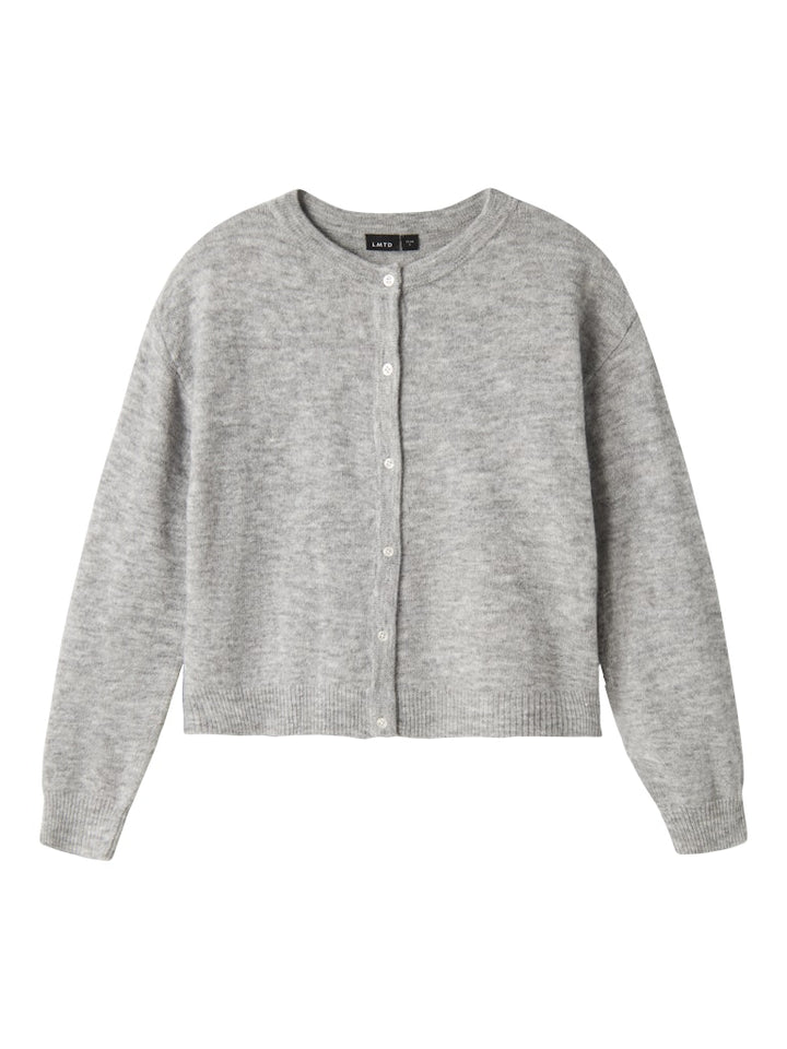 Grå kofta till tjej från LMTD. Ungdom cardigan slätstickad.
NLFLODET LS SHORT KNIT CARDIGAN NOOS
13235060