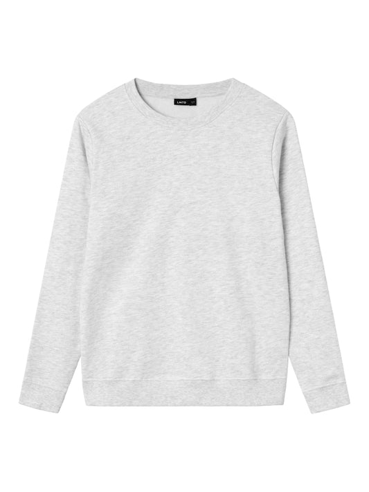 Ljus grå sweatshirt tröja i unisex modell till kille och tjej. Långärmad sweat tröja från LMTD.
NLNNIZU LS BRU O-NECK SWEAT NOOS
13234687