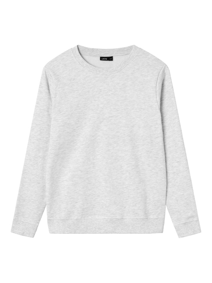 Ljus grå sweatshirt tröja i unisex modell till kille och tjej. Långärmad sweat tröja från LMTD.
NLNNIZU LS BRU O-NECK SWEAT NOOS
13234687