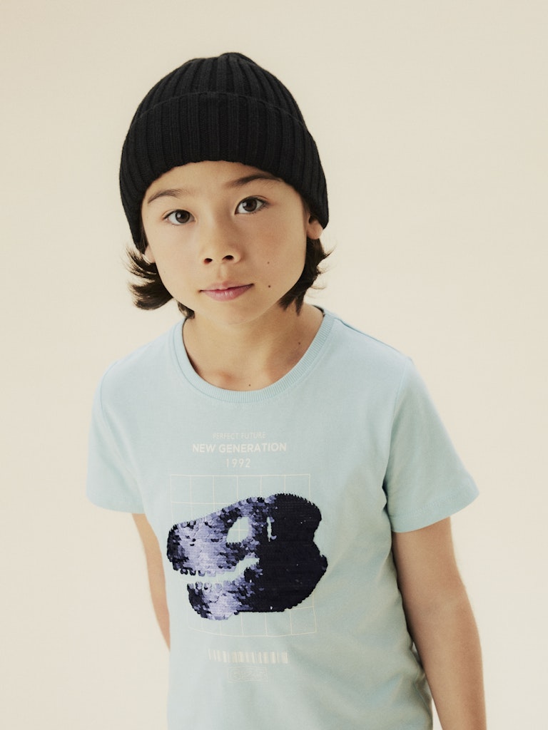 Ljus blå t-shirt med flip paljetter till kille i ekologisk bomull från Name it. Dino, huvud kortärmad tröja.
NKMKURTH SS TOP PB
13244910