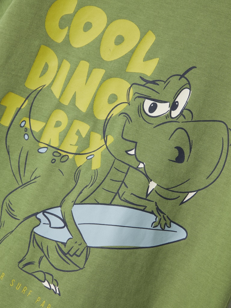 Grön t-shirt med dinosaurie. Ekologiska barnkläder till pojke från Name it.
NMMKARLTON SS TOP PB
13244915