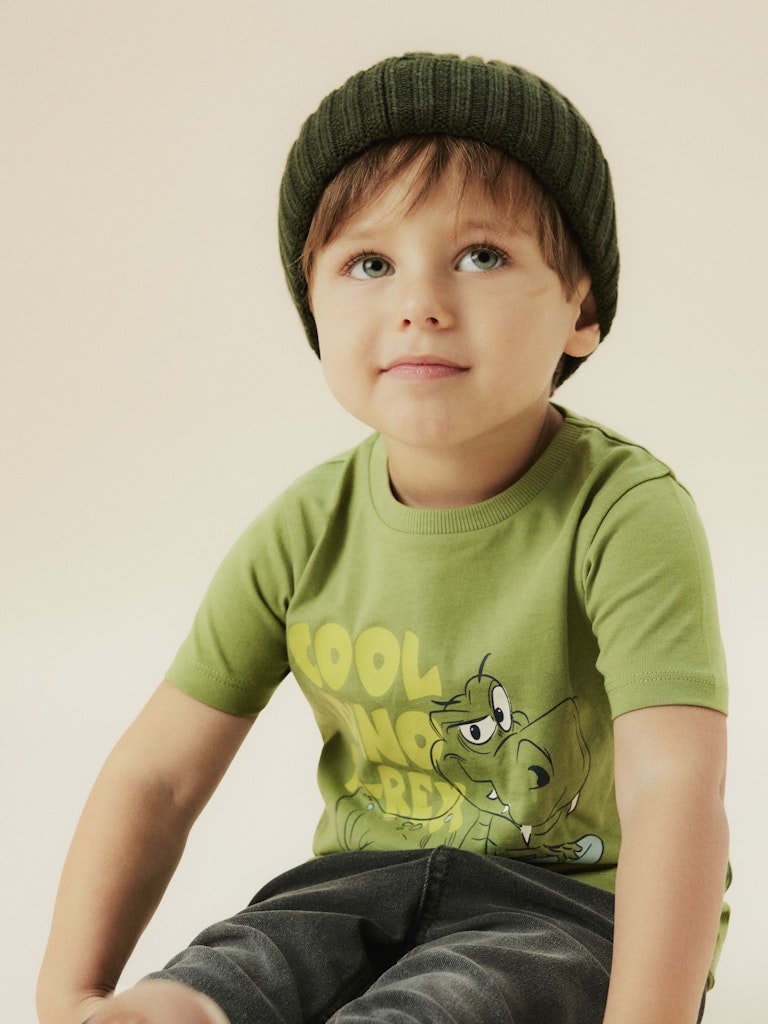 Grön t-shirt med dinosaurie. Ekologiska barnkläder till pojke från Name it.
NMMKARLTON SS TOP PB
13244915