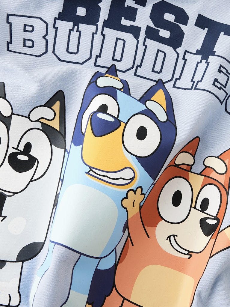 Ljusblå Bluey tröja till pojke. Hundar, bästa vänner långärmad t-shirt från Nameit.
NMMODIN BLUEY LS NREG TOP BOX SKY
13249599