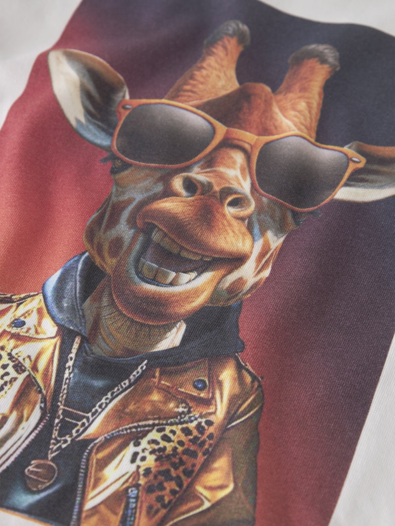 Vit långärmad t-shirt med cool giraff. Tröja till pojke med roligt djur.
NMMVOTO LS NREG TOP
13238400