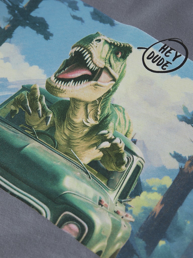 Blå långärmad t-shirt med cool dinosaurie. Tröja till pojke med roligt dino djur.
NMMVOTO LS NREG TOP
13238400