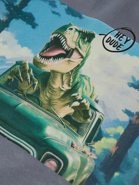 Blå långärmad t-shirt med cool dinosaurie. Tröja till pojke med roligt dino djur.
NMMVOTO LS NREG TOP
13238400