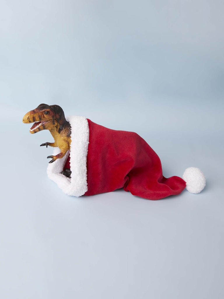 Röd tomte luva till barn, nisse mössa till flicka och pojke. Röd ed vit lurvig kant och tofs. Ekologisk bomull.
NMMRISTMAS HAT
13196948