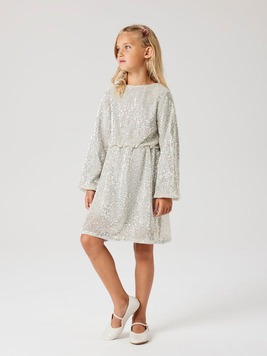 Silver klänning, långärmad paljett klänning till flicka. Snygg fest klänning till tjej från Name it. Mjuk och skön.
NKFRANTELLA LS DRESS
13222691
