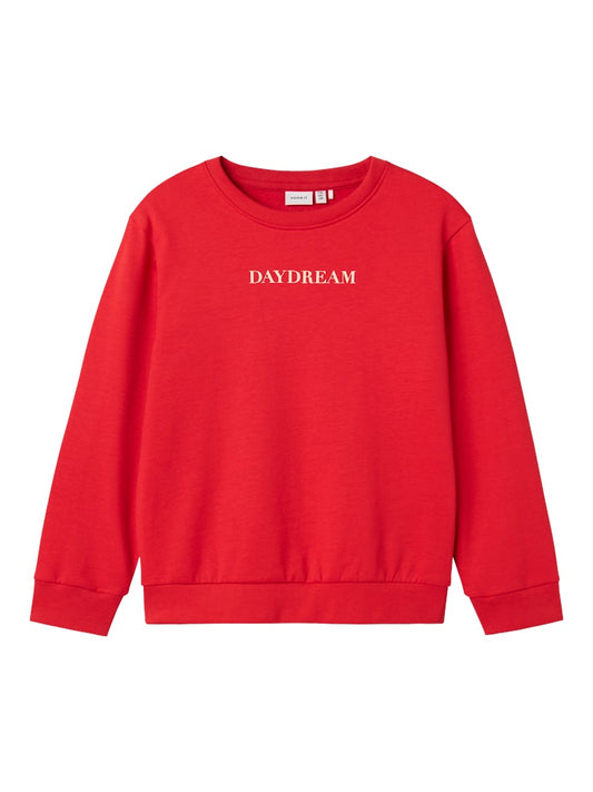 Röd sweat tröja med texten Daydream till tjej. Långärmad sweatshirt till flicka.
NKFNORIANA LS NREG SWE BRU PB
13244922