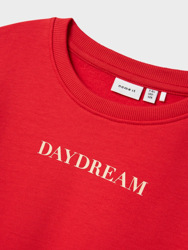 Röd sweat tröja med texten Daydream till tjej. Långärmad sweatshirt till flicka.
NKFNORIANA LS NREG SWE BRU PB
13244922