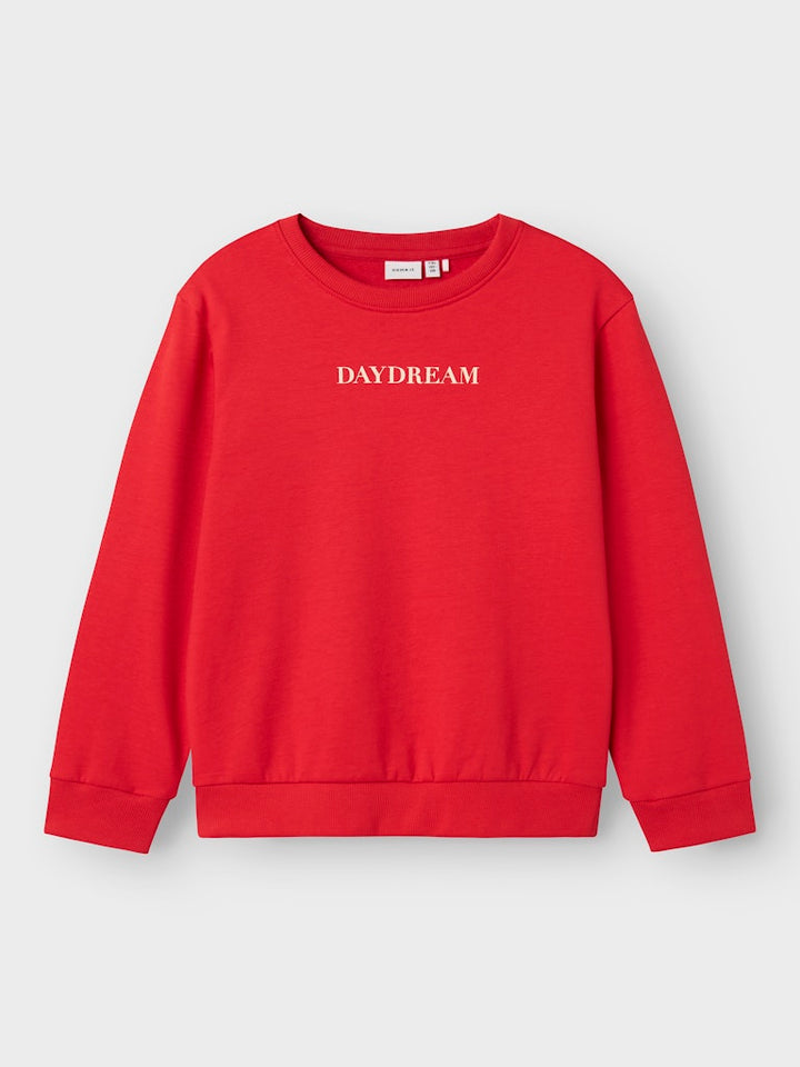 Röd sweat tröja med texten Daydream till tjej. Långärmad sweatshirt till flicka.
NKFNORIANA LS NREG SWE BRU PB
13244922