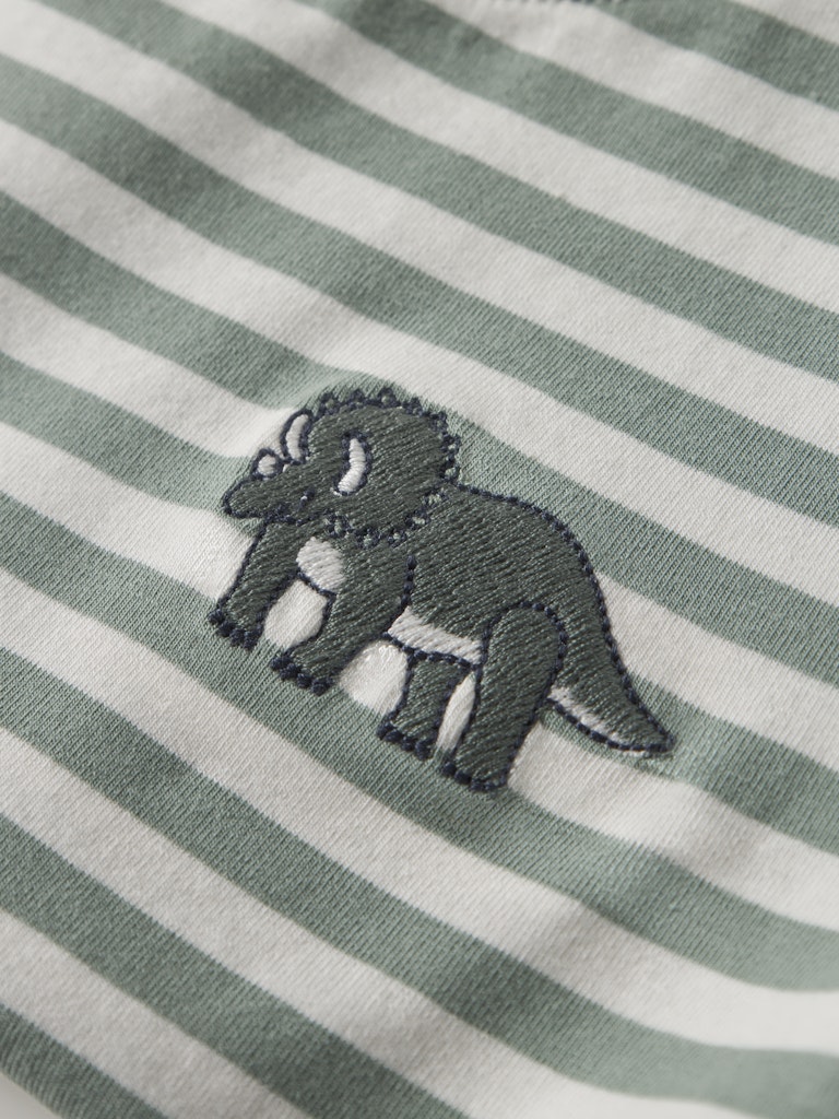 Grön randig tröja med dinosaurie till pojke.
NMMNITU LS TOP PB
13244926