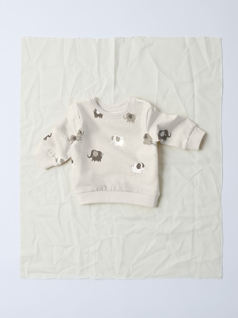Beige baby tröja i sweat till bebis flicka och pojke. Ekologiska babykläder från Nameit.
NBNOHAPI LS SWEAT BRU
13246738