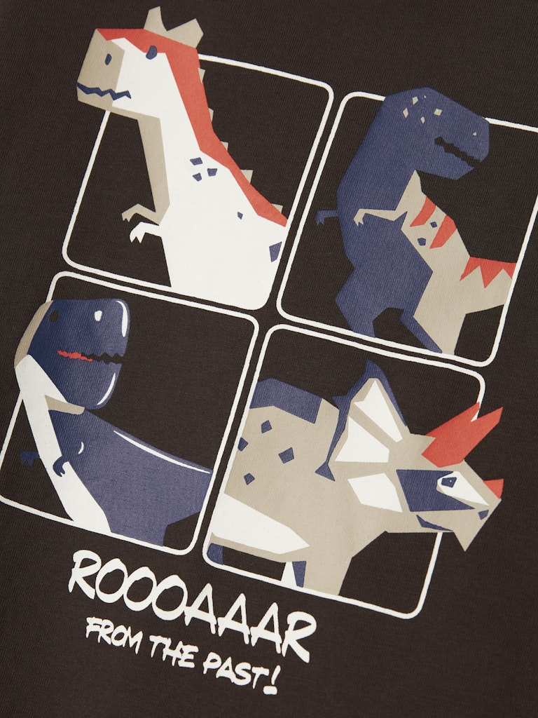 Brun långärmad t-shirt med backprint. Dinosaurie tröja till pojke i ekologisk bomull. 
NMMNATHAN LS NREG TOP BOX
13246593