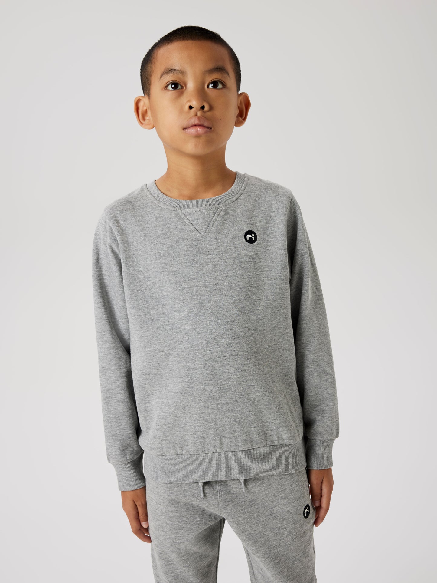 Kille klädd i grå sweat tröja crew neck till pojke. Långärmad sweatshirt till kille från Name it.
NKMVIMO LS SWEAT BRU NOOS
13220321