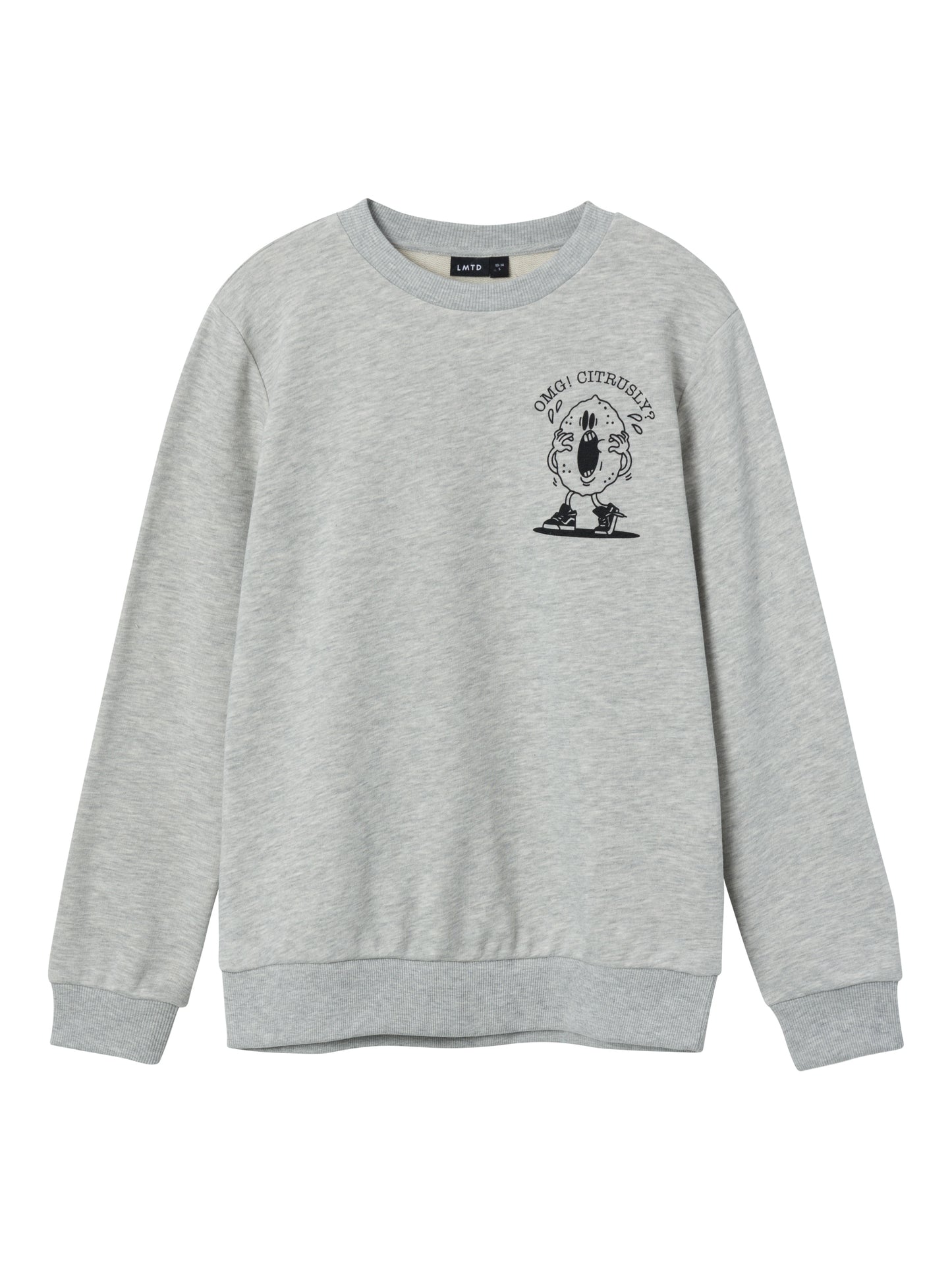 Sweatshirt - långärmad tröja