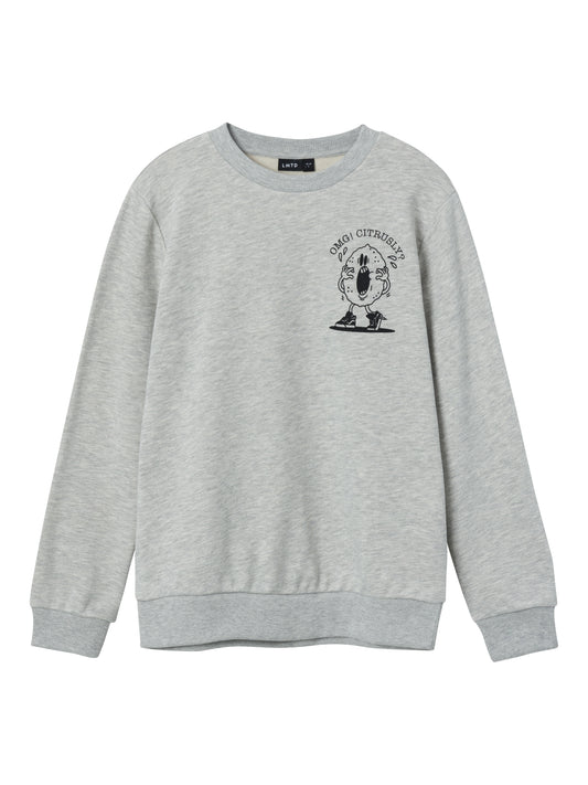 Sweatshirt - långärmad tröja