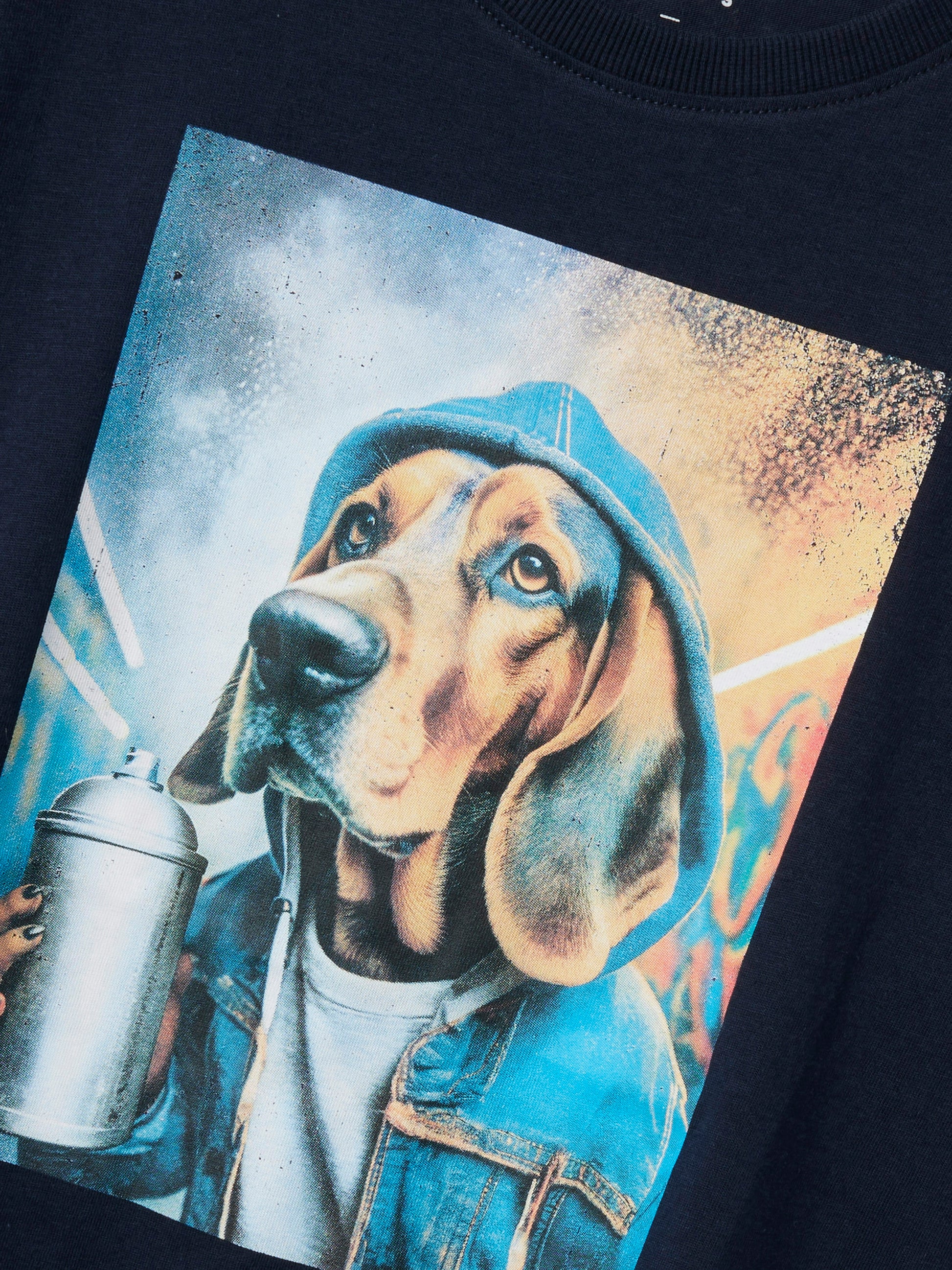 Blå t-shirt till kille med foto av hund. Hund tröja kortärmad från Name it till pojke.
NKMVOTO SS NREG TOP
13239070
