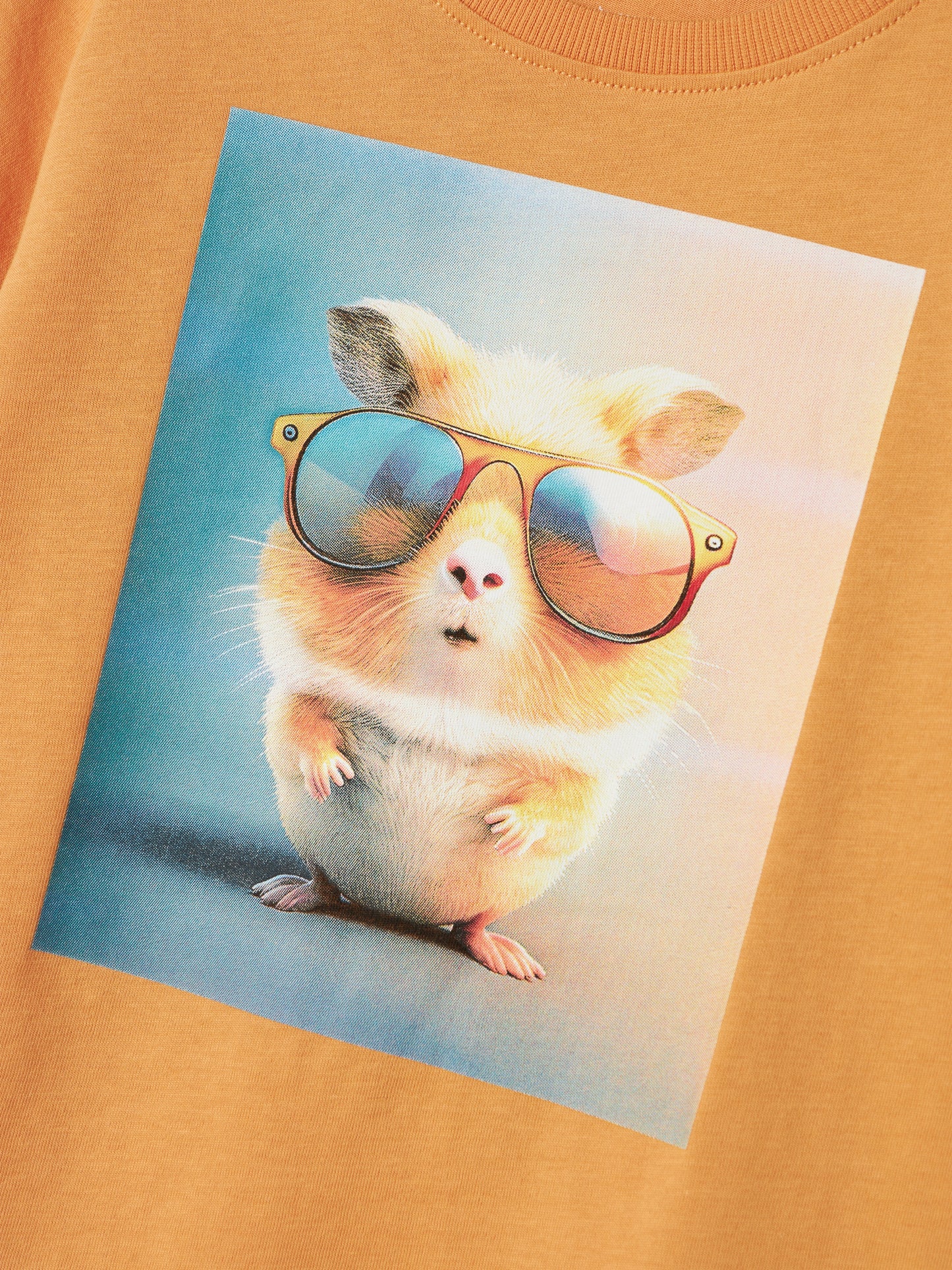 Kortärmad orange t-shirt till pojke. Tröja till liten kille med fotoprint av marsvin, hamster som surfar.
NMMVOTO SS NREG TOP
13241569