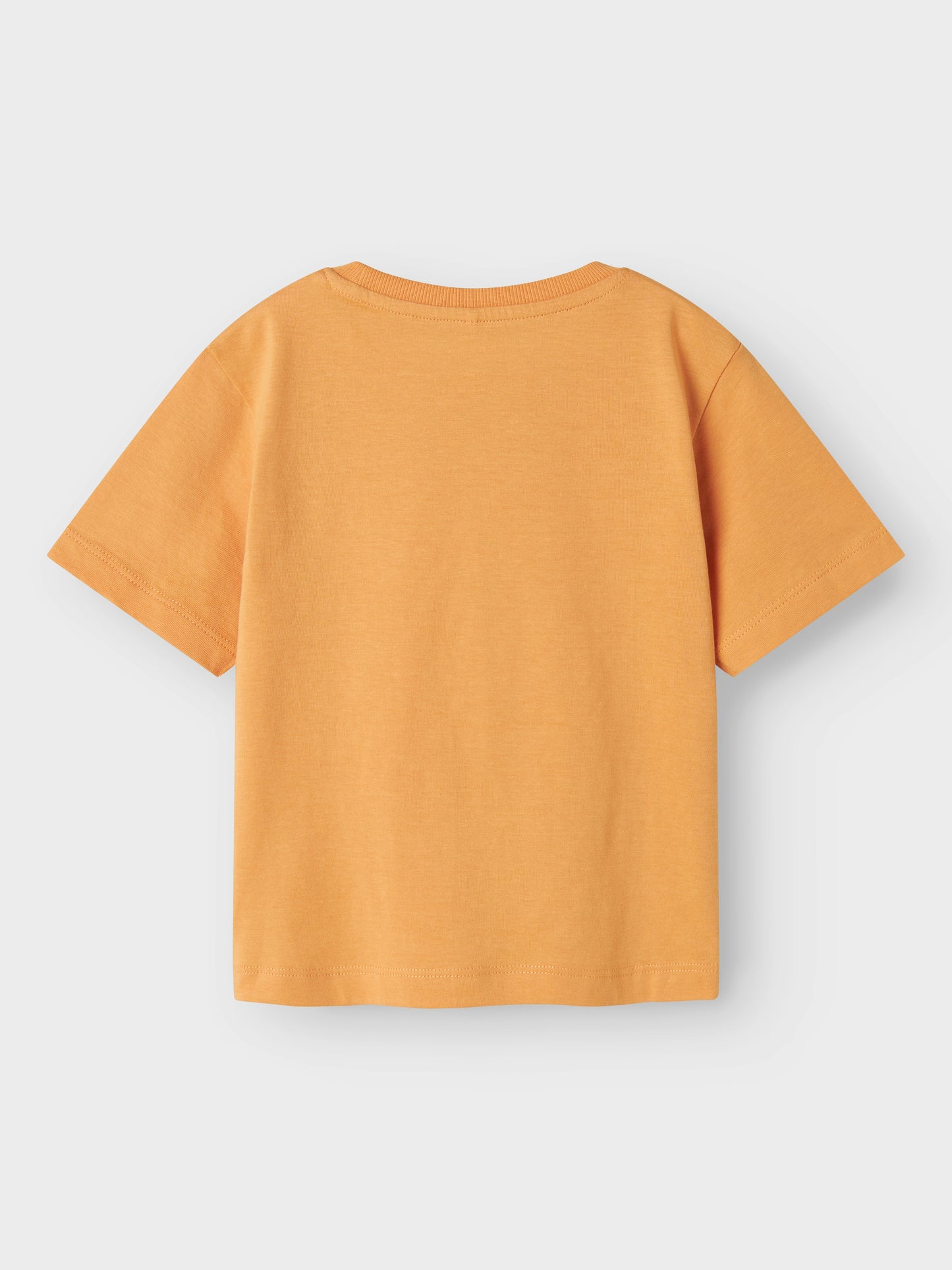 Kortärmad orange t-shirt till pojke. Tröja till liten kille med fotoprint av marsvin, hamster som surfar.
NMMVOTO SS NREG TOP
13241569